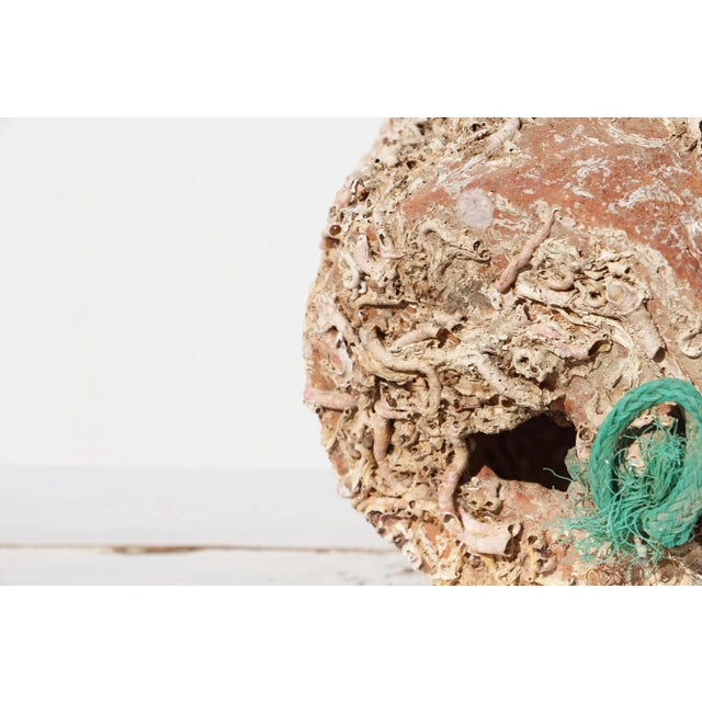 19th Century Antique Terracotta Octopus Trap Undersea Pot For Sale - Image 11 of 13