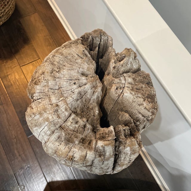 Contemporary 2006 Driftwood Sculpture For Sale - Image 3 of 13