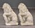 Stone Pair of Vintage French Cast Stone Seated Lion Garden Statues For Sale - Image 7 of 10