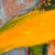Vintage Modernist Oil Painting Still Life in Gilt Frame - Unsigned For Sale In Tampa - Image 6 of 12