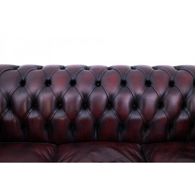 1950s Mid-Century Chesterfield Sofa, Western Europe, 1950s For Sale - Image 5 of 12