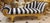 Only one chaise lounge is available from this production. Bring timeless French elegance into your home with this...