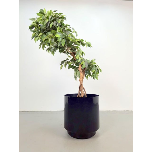 Black Round Planter on Wheels by Anna Castelli for Kartell, 1970s For Sale - Image 6 of 9
