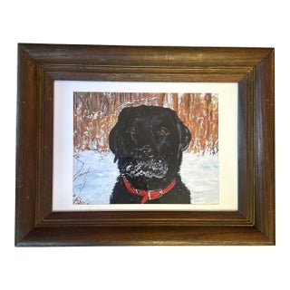 Contemporary Snowy Black Labrador Retriever Print by Judy Henn For Sale
