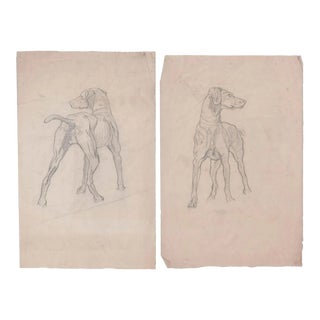 Pair of Antique Dog Drawings For Sale