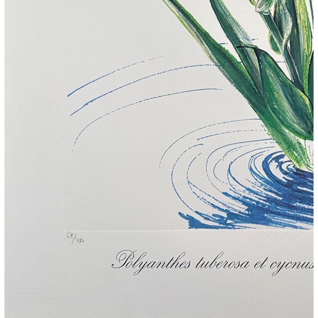 1970s Dali Florals Water-Hybiscus Swan Hand Signed Number Etching Surreal Art For Sale - Image 4 of 6