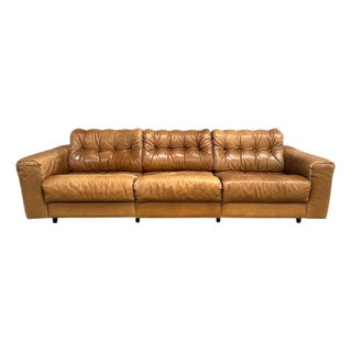 DS40 Sofa by Robert Haussmann for de Sede, 1970s For Sale