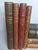 Antique Scandinavian Library Set of 7 – Brown, Burgundy & Cognac Leather Books For Sale - Image 4 of 16