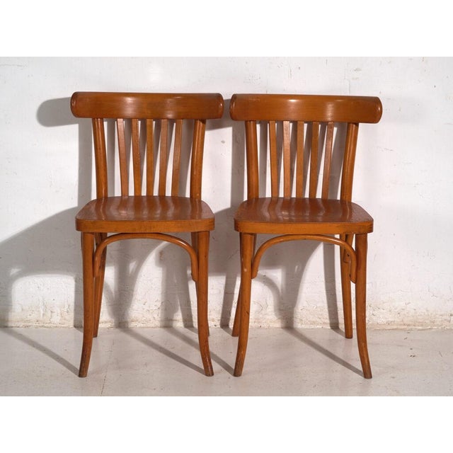 Chairs in Ligna Bentwood, Former Czechoslovakia, 1960, Set of 4 For Sale - Image 6 of 12