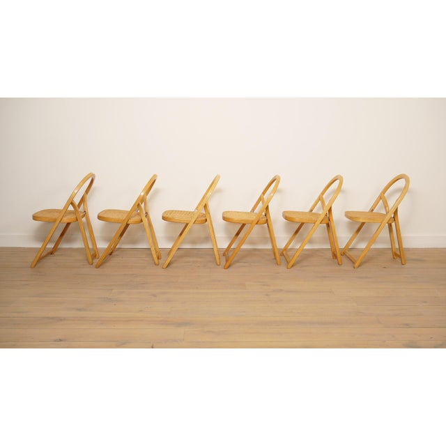 Wood Arca Chairs by Gigi Sabadin for Crassevig, 1960s, Set of 6 For Sale - Image 7 of 18