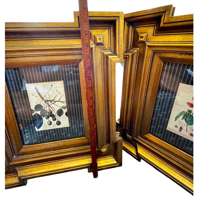 Paragon Botanical & Fruit Prints in Monumental Architectural Giltwood Frames, Pair For Sale - Image 12 of 16
