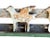 Cabin 1900s Cast Iron Shooting Gallery Target, Rack of Birds For Sale - Image 3 of 7