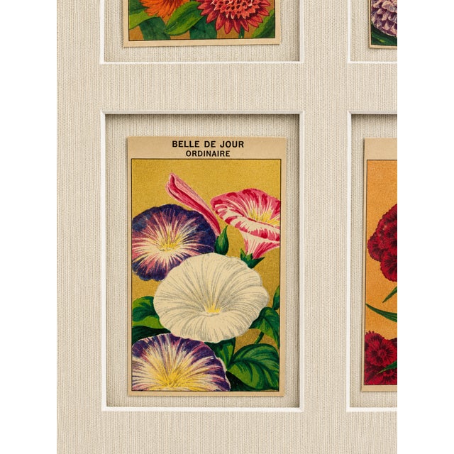 Collection of 20 Authentic French Seed Packet Labels, C. 1930, Custom Framed Decorative Wall Art For Sale - Image 4 of 6