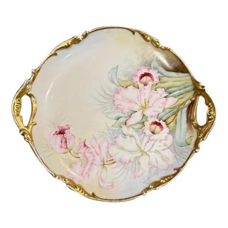 Early 20th Century J. Pouyat Limoges France Hand Painted Porcelain Serving Platter For Sale