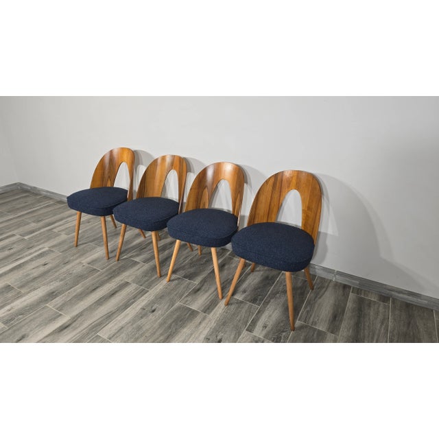 Dining Chairs by Antonin Suman, 1960s, Set of 4 For Sale - Image 12 of 12