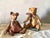 Vintage Dutch Decorative Teddy Bears, 1980s, Set of 2 For Sale - Image 16 of 16