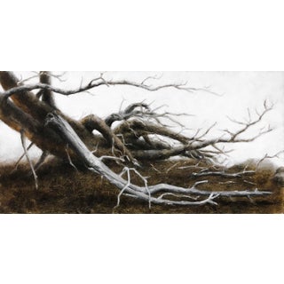 Ponderosa - Mountain Pine Beetle Outbreak by Lisa Lebofsky | Oil on panel Depiction of dead tree branches. For Sale