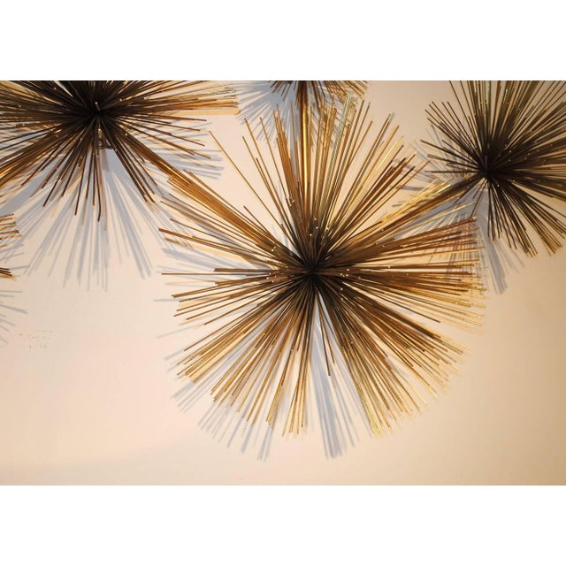 Curtis Jere Wall Sea Urchin Sculpture Chairish