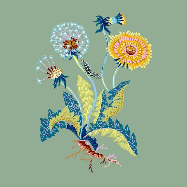 "Dandelion" Contemporary Giclee Print by Sarah Gordon For Sale