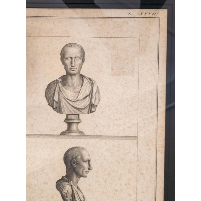 18th Century Italian Neo-Classical Engraving Print of Julius Caesar Bust by Giovanni Folo For Sale - Image 15 of 18