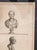18th Century Italian Neo-Classical Engraving Print of Julius Caesar Bust by Giovanni Folo For Sale - Image 15 of 18