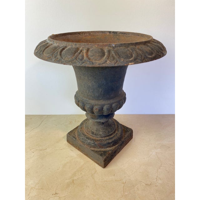 Antique Cast Iron Campana Garden Urn, Egg-and-Dart Rim For Sale - Image 4 of 7