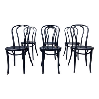 Set of 6 Dining Chairs Designed by Michael Thonet No.18, Bentwood, 1990s For Sale