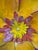 2010s Pat & Andre Juneau Metal Flower Wall Sculpture, Extra Large For Sale - Image 5 of 12