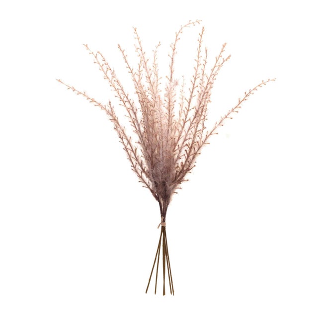 Bring the beauty of autumn into your home with this set of Grass Plume Bundles. Crafted with a rustic blend of beige and...
