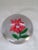 Mid 19th Century Antique New England Glass Company Pink Poinsettia Latticinio Paperweight For Sale - Image 5 of 5