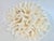 Chinoiserie Natural White Lettuce Coral Specimen Coastal Home Decor For Sale - Image 3 of 8