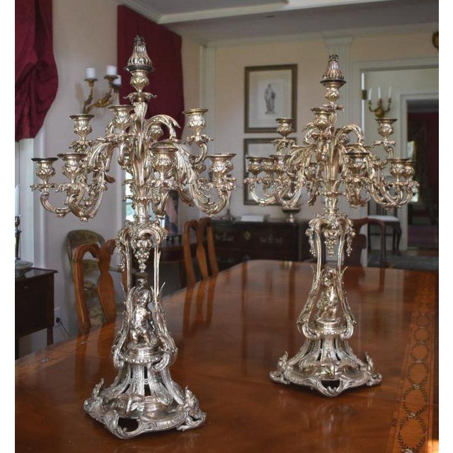 Pair of Grand 12 Arm Candelabras For Sale - Image 4 of 5