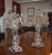 Pair of Grand 12 Arm Candelabras For Sale - Image 4 of 5