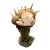 Shell Encrusted Bust in Farrow & Ball Hopper Head For Sale