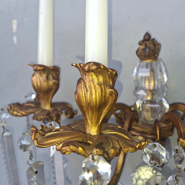 Mid 19th Century Grand Scale French Rococo Louis XV Gilt Bronze/ Heavy Cut Crystal Candle Holder Wall Sconce For Sale - Image 4 of 18