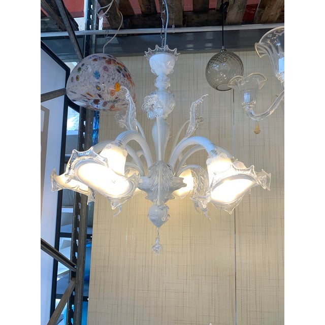 Classical venetiantransparent and milky-white murano glass chandelier with flowers and leaves. traditional piece of...