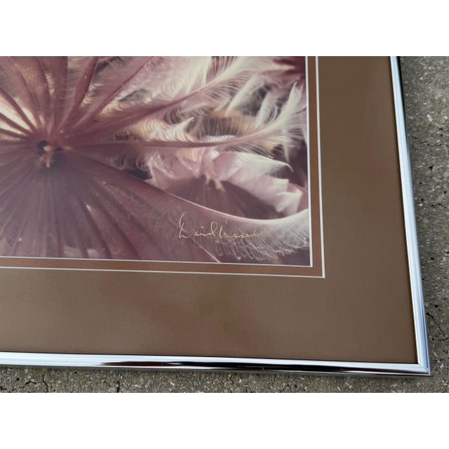 Metal David Waselle “Fan Dancers” Signed Artist Proof Underwater Photograph For Sale - Image 7 of 10