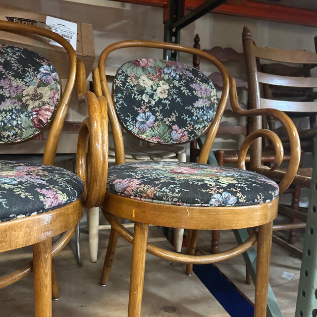 1970s Collection of Floral Cushioned Bentwood Looped Arms Dining Chairs- Set of 4 For Sale - Image 4 of 11