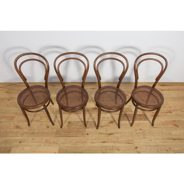 No. 14 Chairs by Michael Thonet for Josef Hoffmann, 1900s, Set of 4 For Sale - Image 5 of 18
