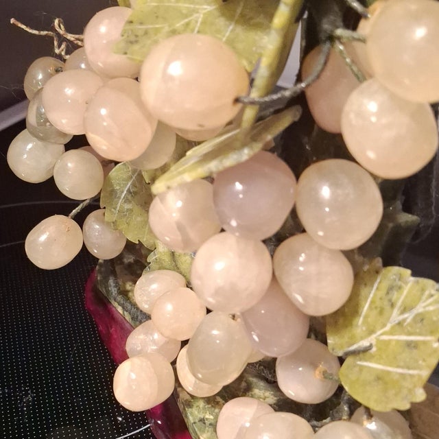 Grape Vines Bonsai Tree For Sale - Image 10 of 12
