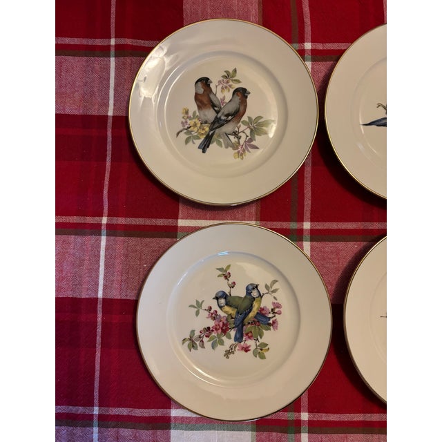 Beautiful set of vintage mid century plates circa 1950s depicting 6 different pairs of richly colored birds. Each plate is...