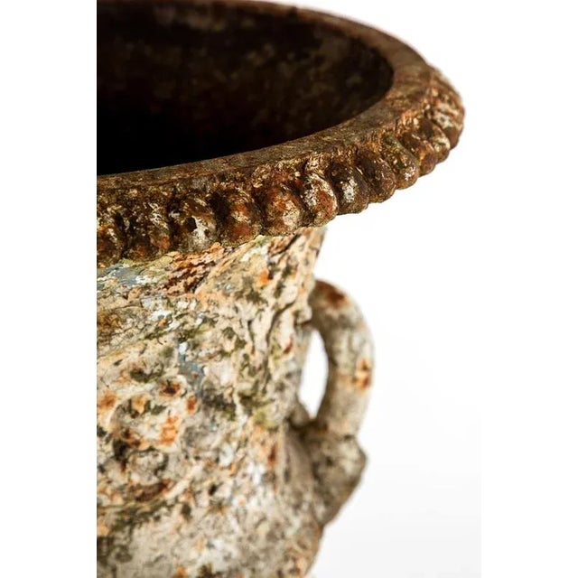 Ivory Campana Urns by Andrew Handyside, Set of 2 For Sale - Image 8 of 11