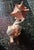 From the living estate of Arizona based brutalist sculpture artist, John Gleason, bring an element of serene, mid-century...