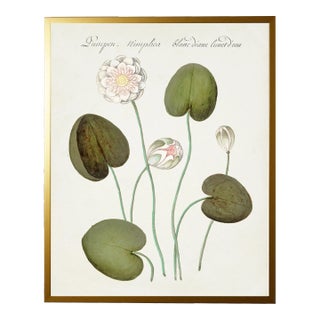 White Flowers Bookplate Print in Gold Shadowbox - 31" x 37" For Sale