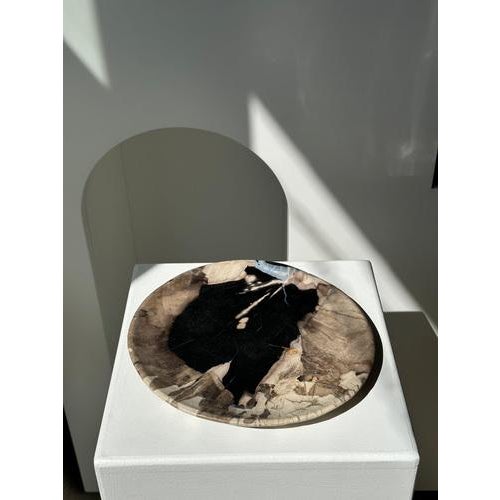 Wood Large Vide-Poche or Dish in Petrified Wood For Sale - Image 7 of 18