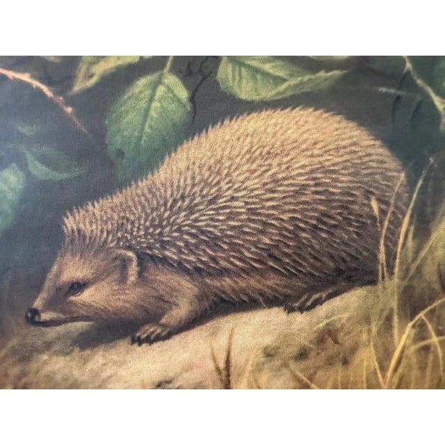 Vintage Linen School Map In the Dune For Sale - Image 6 of 11