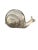 Vintage brass snail great possibility Incorporating a brass snail as a decor piece : displaying it on shelves, desks, or...