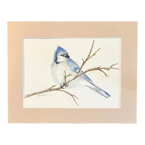 Original Watercolor of a Blue Jay by Gail Ross in 11x14 Mat, EUC