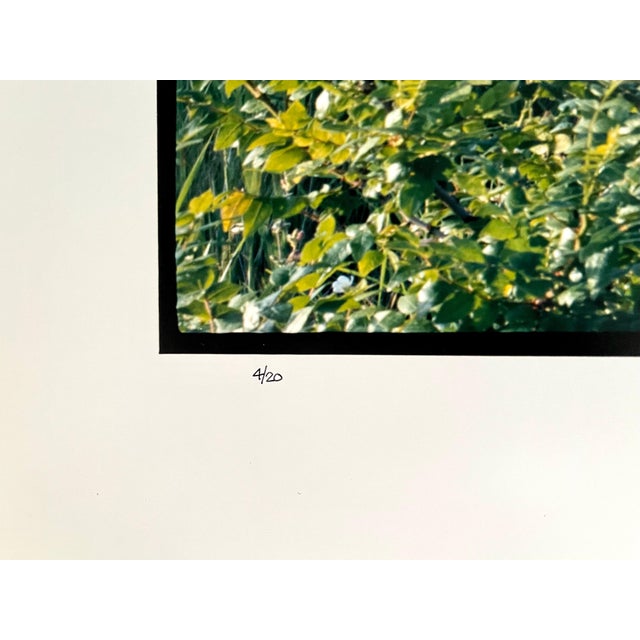 Maxwell Mackenzie, Old Barn Summer Landscape, Large Panoramic Vintage Color Photograph Signed Photo, 1992 For Sale - Image 4 of 8
