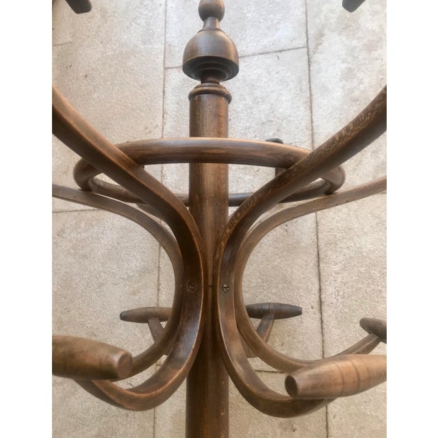 Mid-Century Art Nouveau Style Coat Rack in the Style of Thonet For Sale - Image 9 of 17